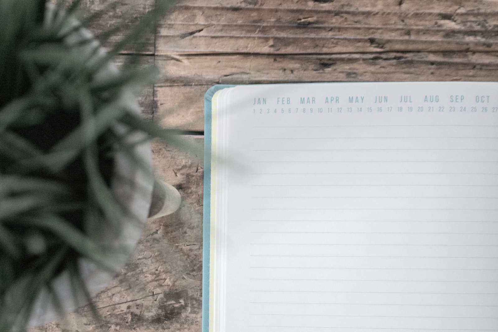 An open notebook and a pencil on a pale desk beside a plant