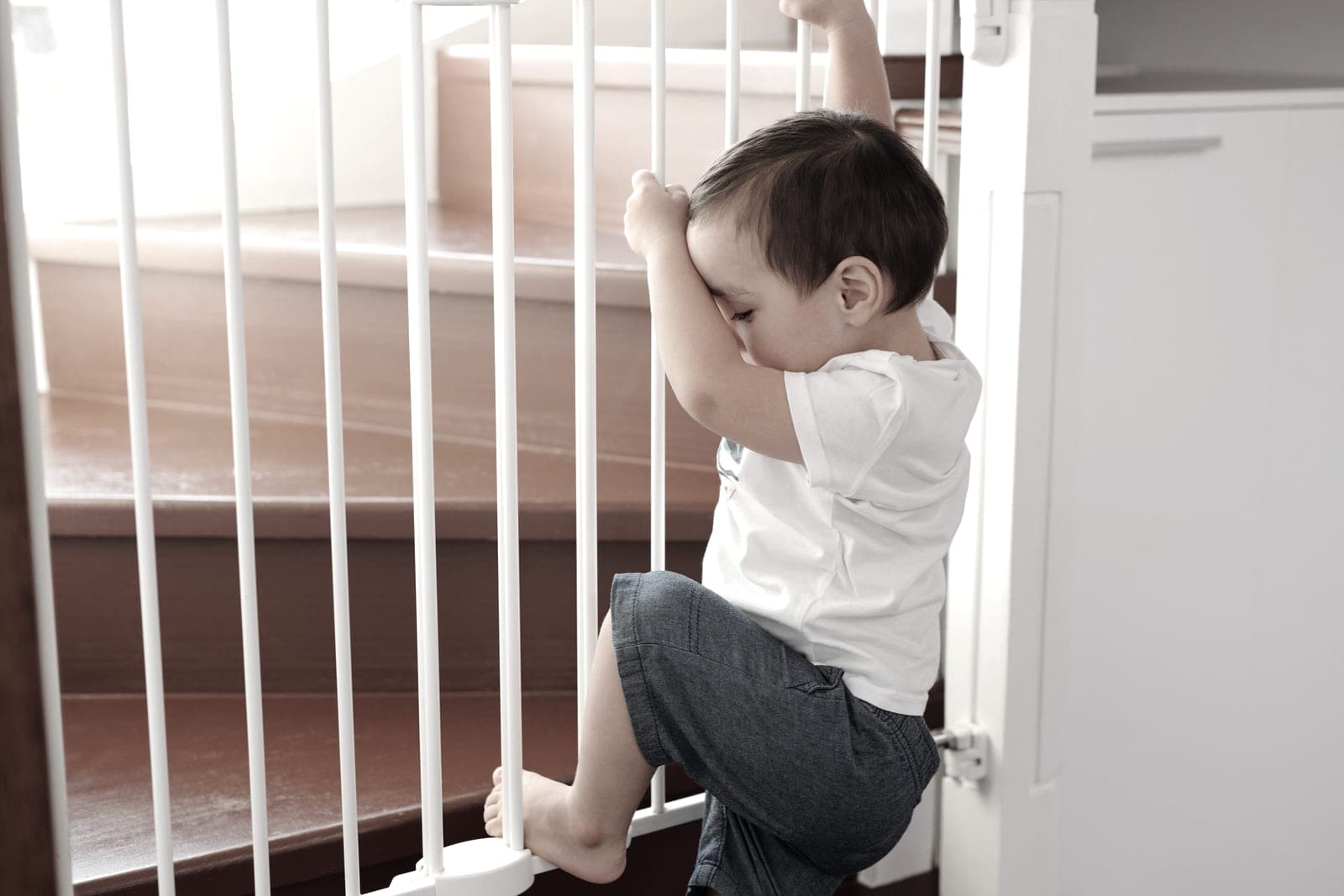A child safety gate fitted at the top of a staircase in a bright hallway
